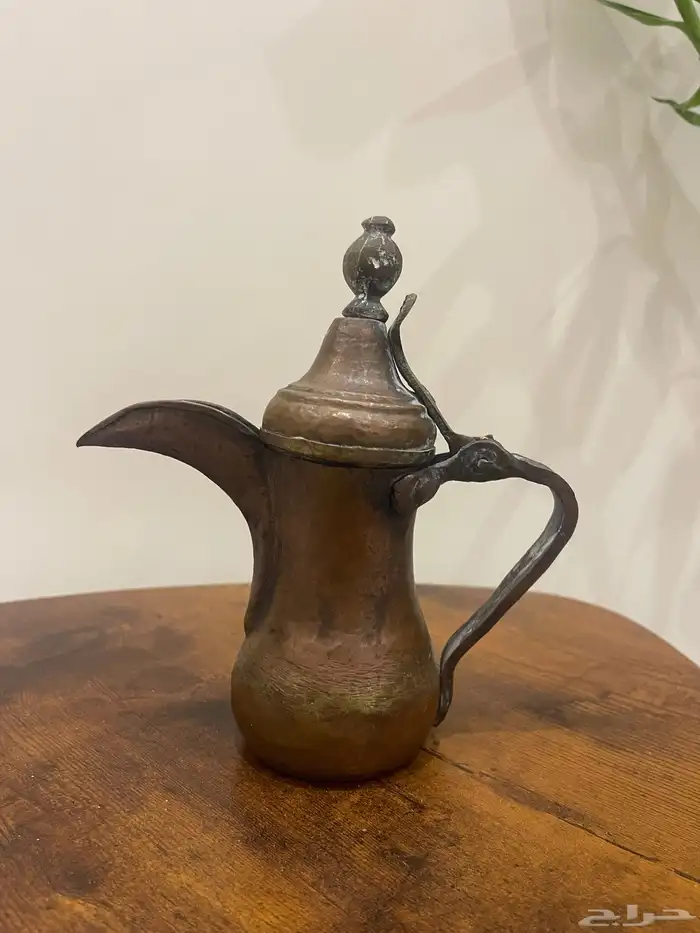 دله بغداديه صغيره جدا 0