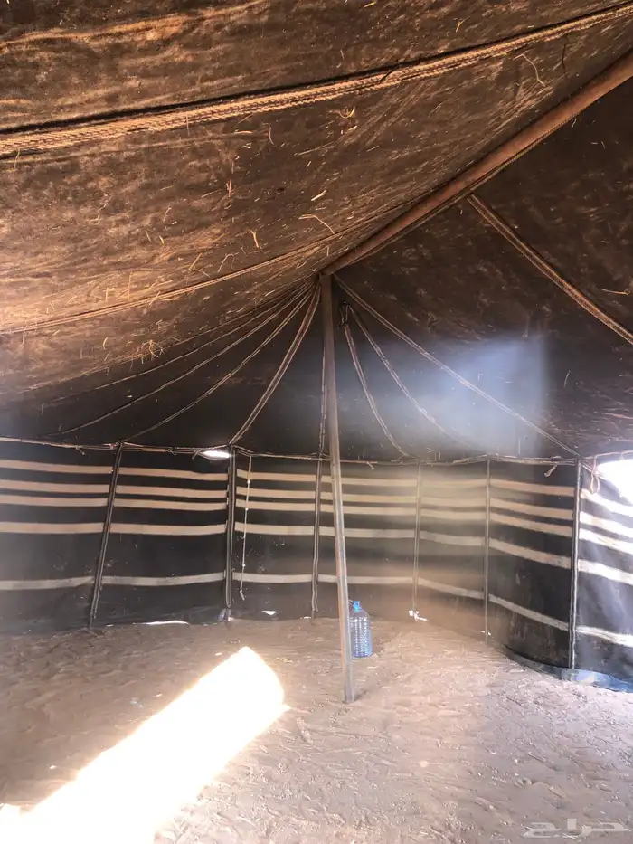 بيت شعر 5 11 تقريب ا 8