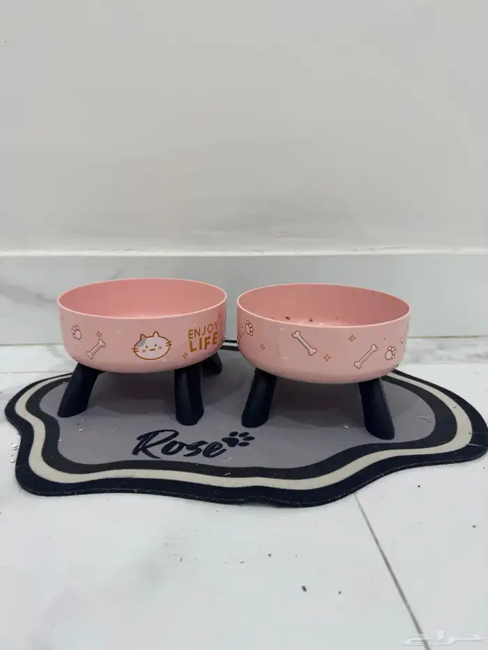 قطه هيميلايا و جميع المستلزمات 9