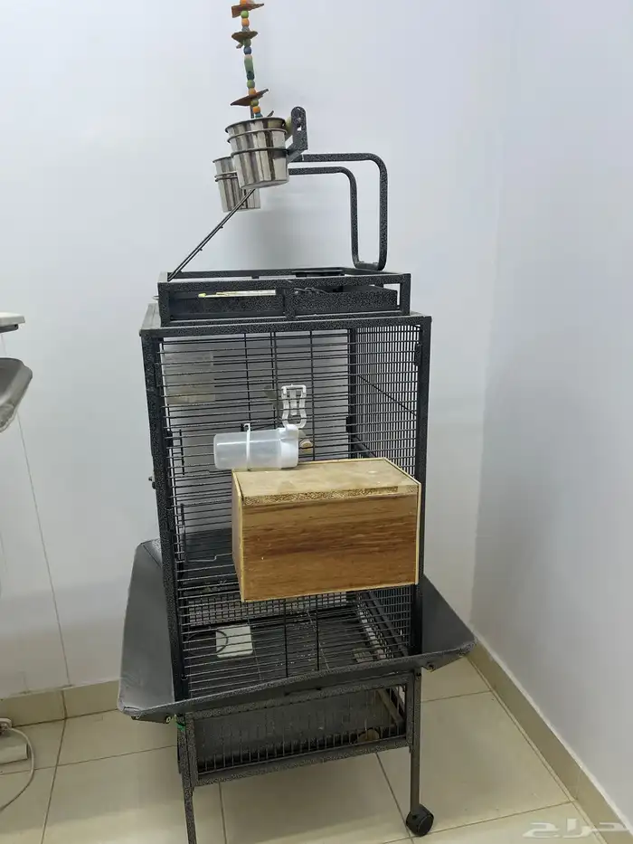 قفص ببغاء للبيع 0