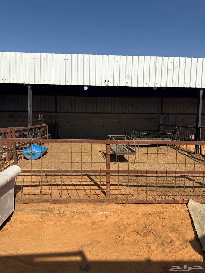 حظائر للإيجار 1