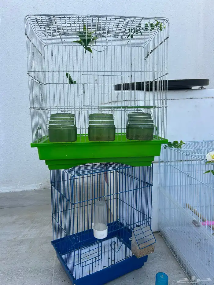 قفص طيور مجموعة 0
