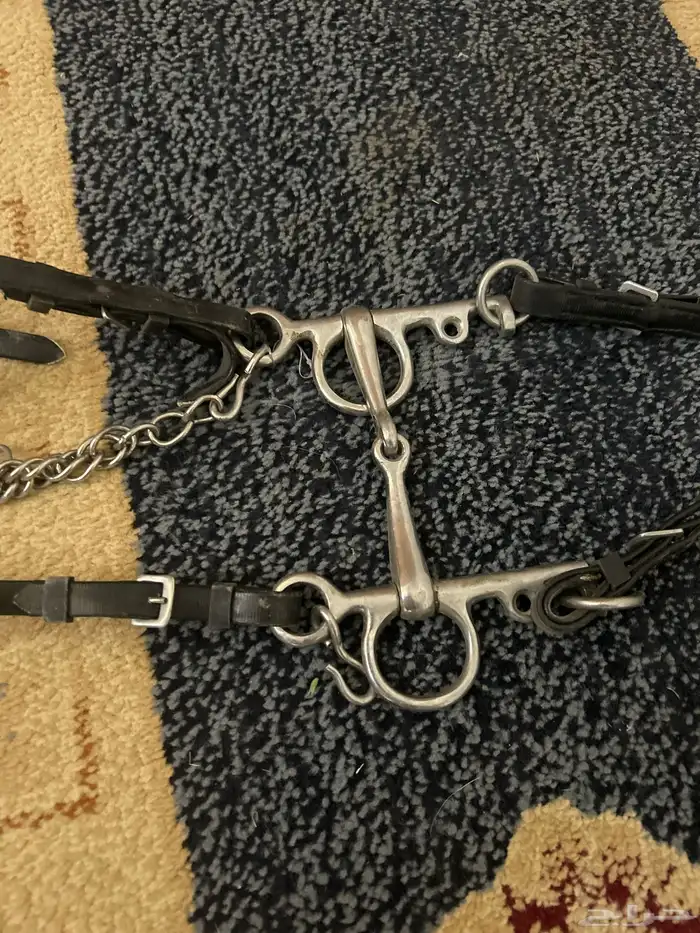 1 الجام H سلسه 2 ابو ركبه جديد للخيل الحاره 1