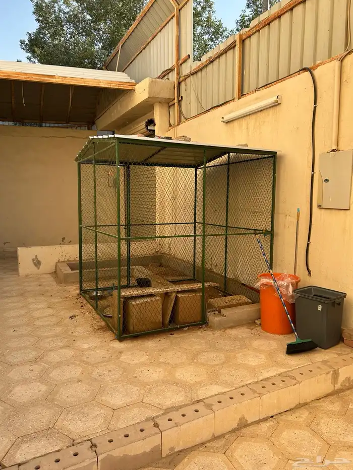 شبك دجاج للبيع 0