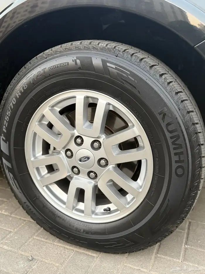 اكسبيدشن 2014 بودي بلد 7