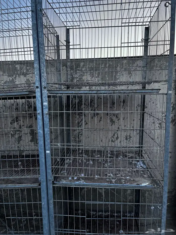 محاكر حديد 1