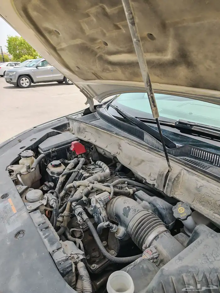 ترافيرس وكاله نظظيف 23