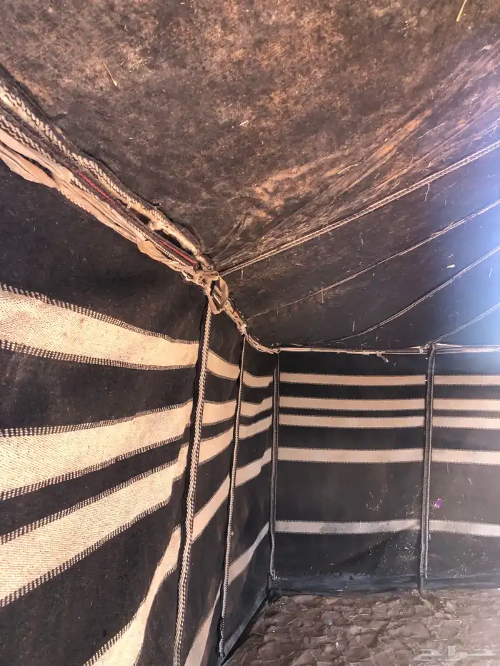 بيت شعر 5 11 تقريب ا 4