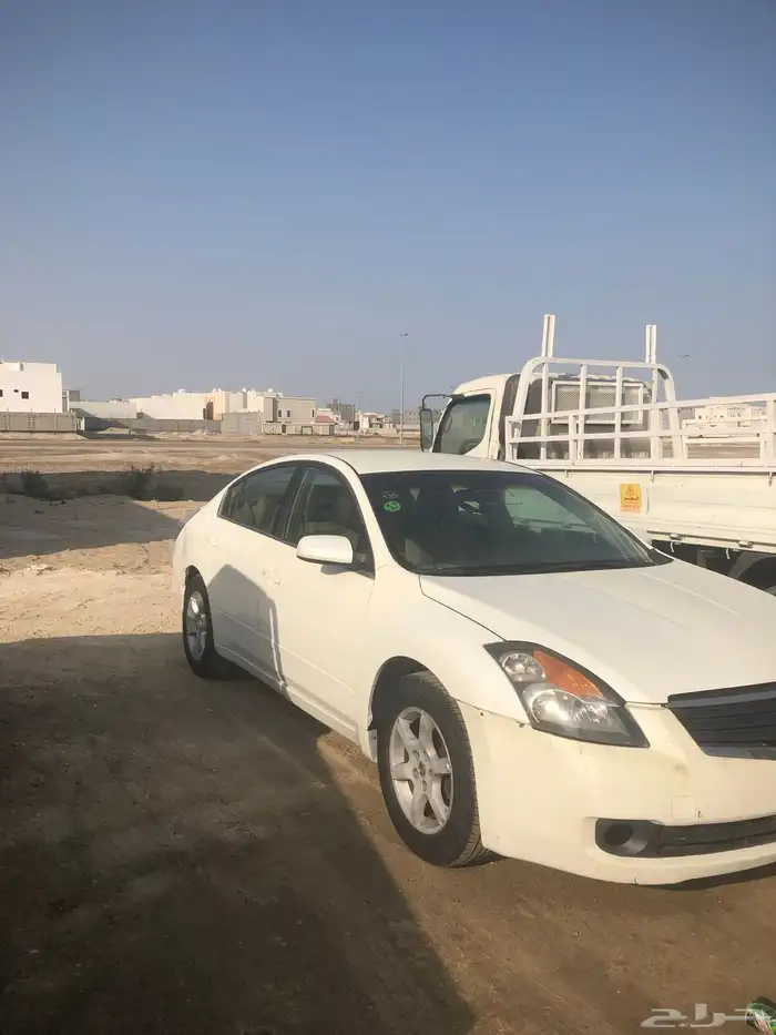 التيماء 2008 2