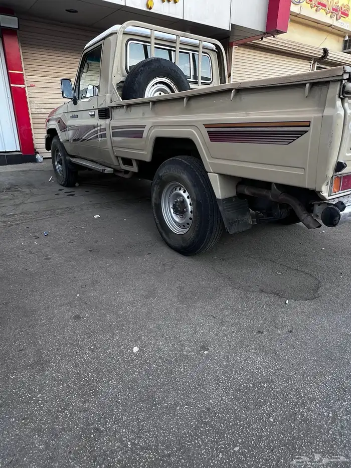 شاص مديل 2010 10