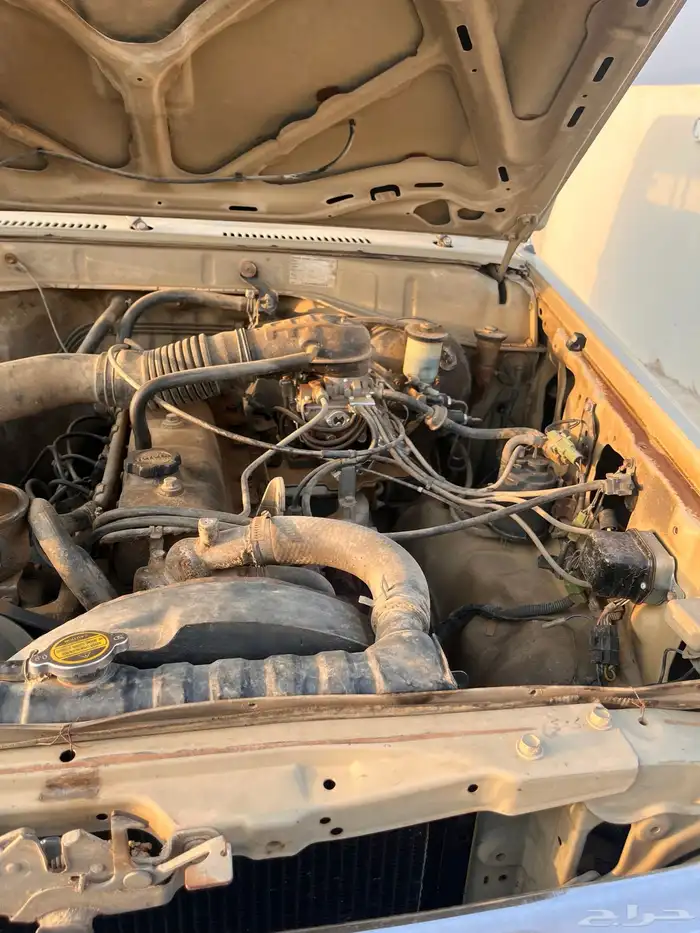 جيب ربع 1986 19