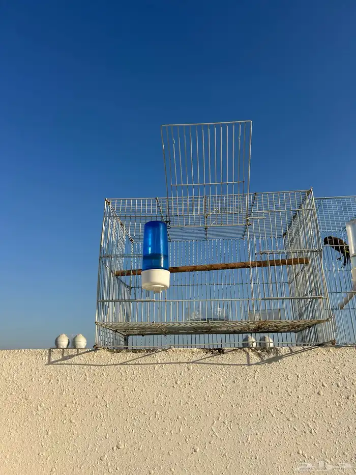 قفص طيور مجموعة 2