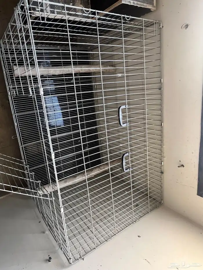 للبيع شبك قطط او كلاب او ماعز قزمي 1