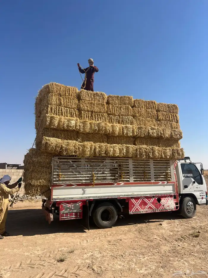 تبن بر صافي ناعم 0