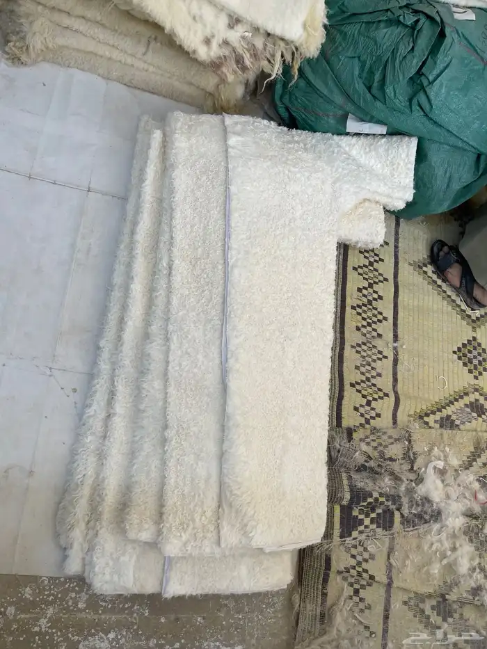 فروة فروات طفيلي غنم تفصيل ملكي 0