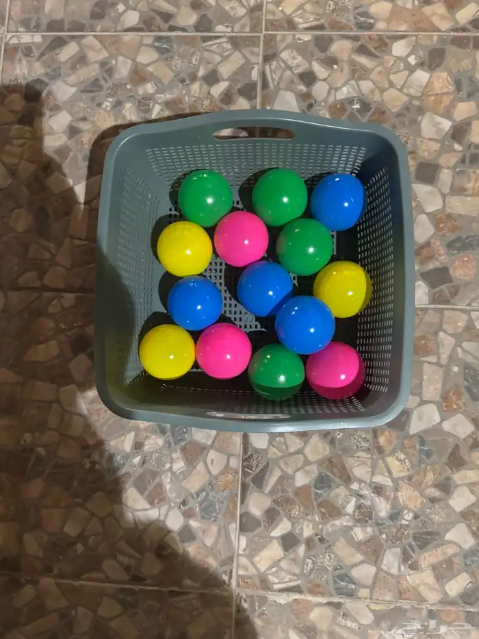 مستلزمات القطط 0