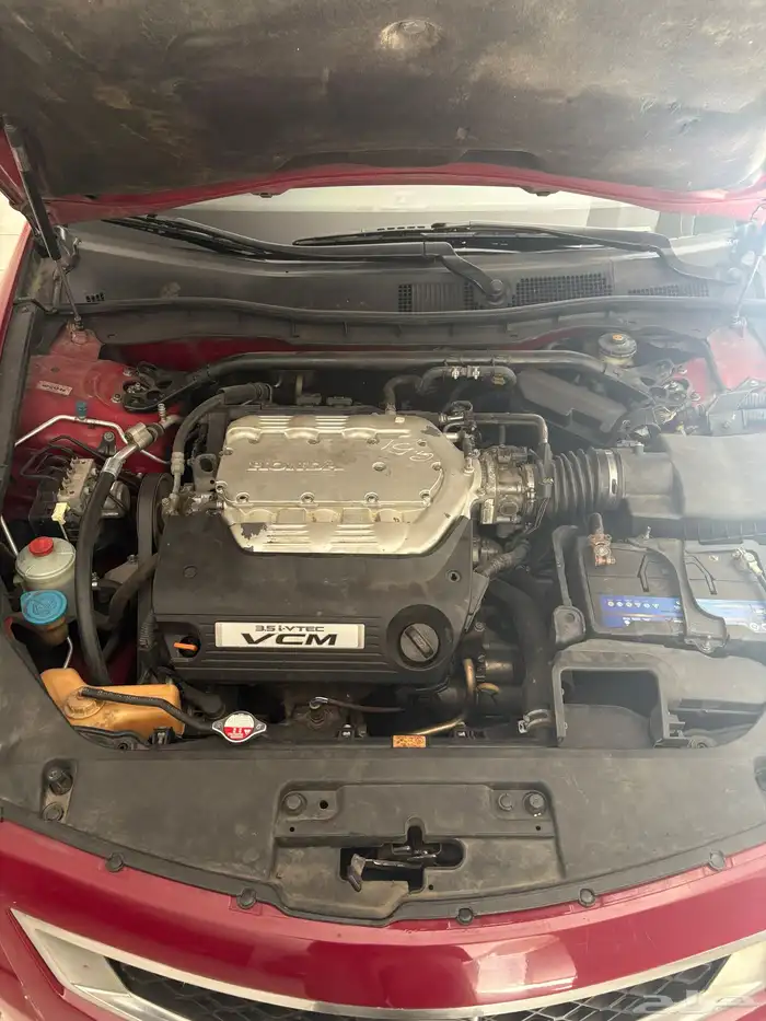 هوندا اكورد v6 كوبيه 2010 10