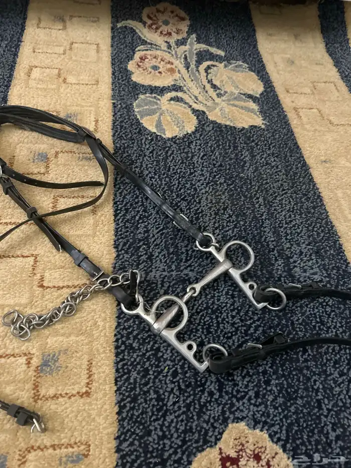 1 الجام H سلسه 2 ابو ركبه جديد للخيل الحاره 0