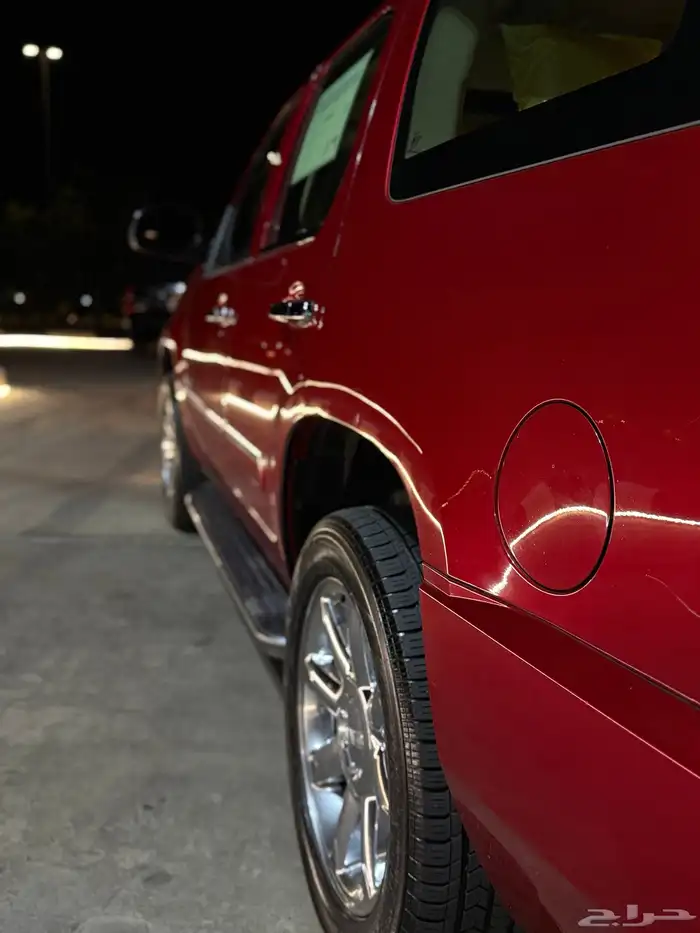 دينالي مخزن 2012 12