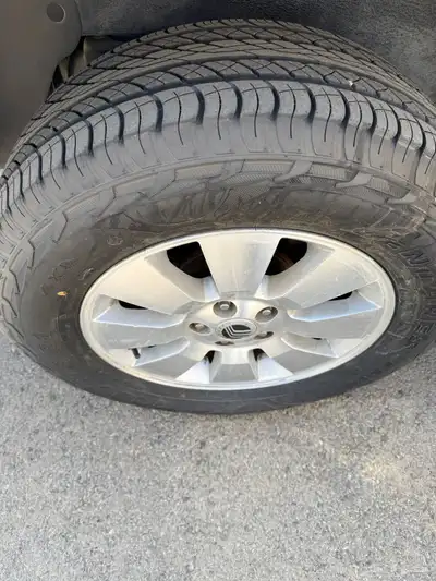 جيب مونتنير 2008 index