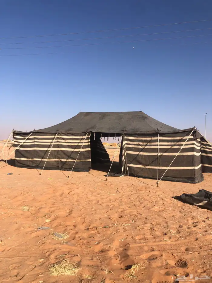 بيت شعر 5 11 تقريب ا 6