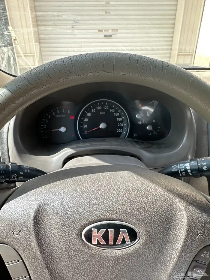 كارنيفال 2015 8