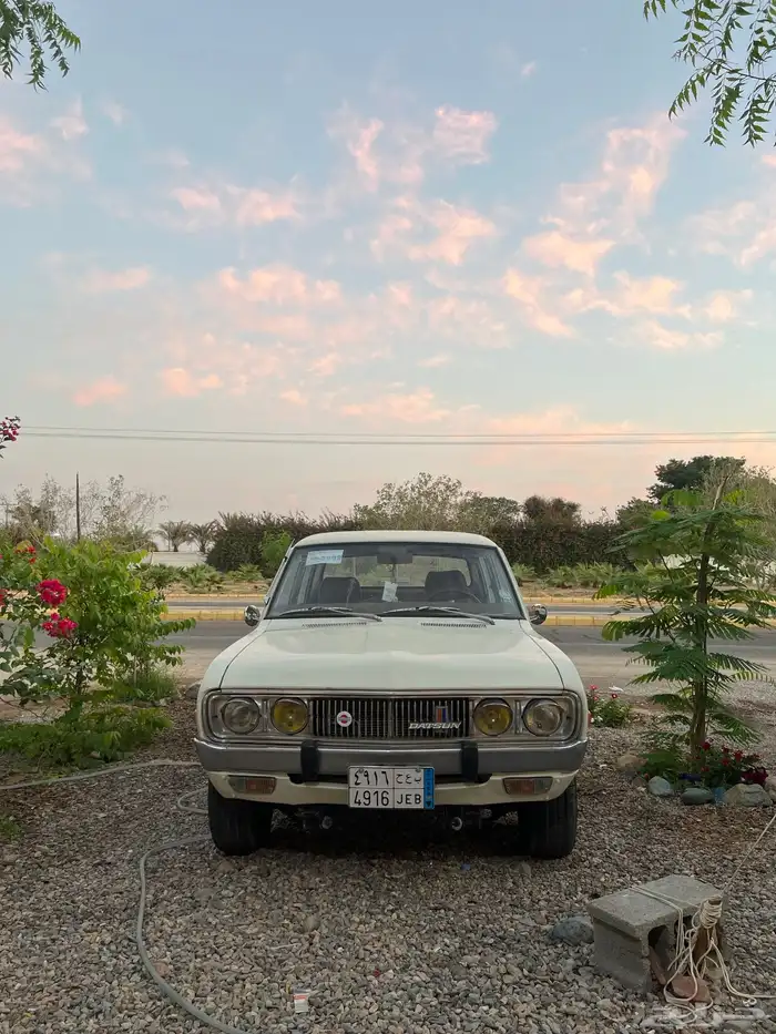 ددسن موديل 1977 2