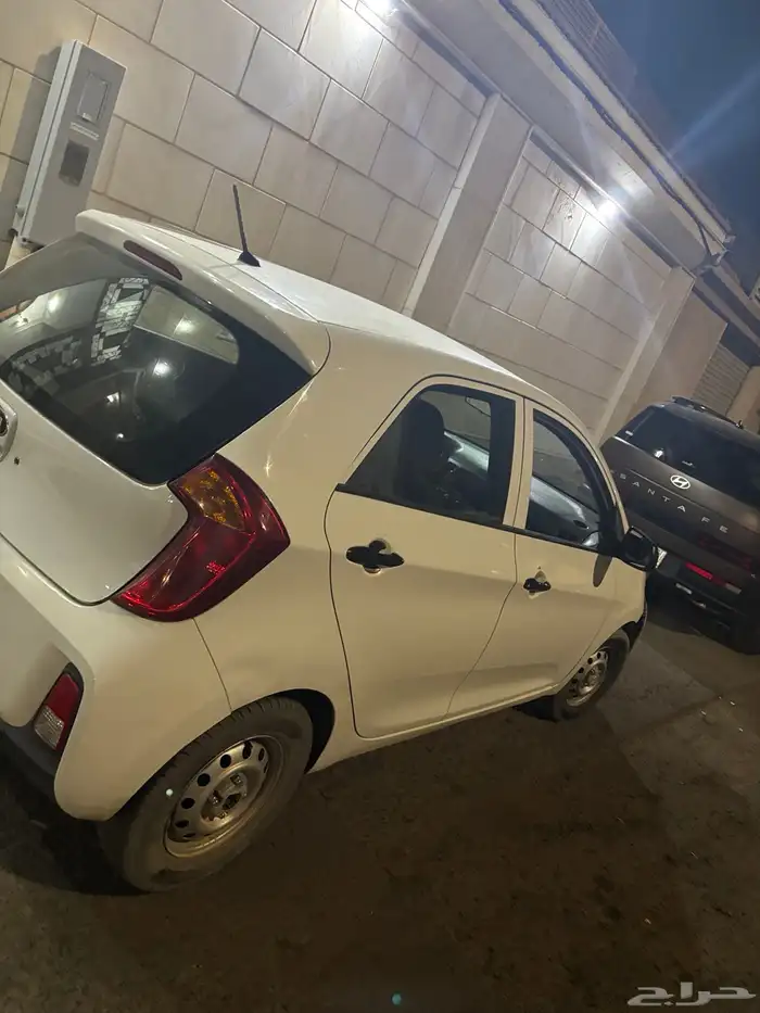 سواق سائق توصيل تبوك 0