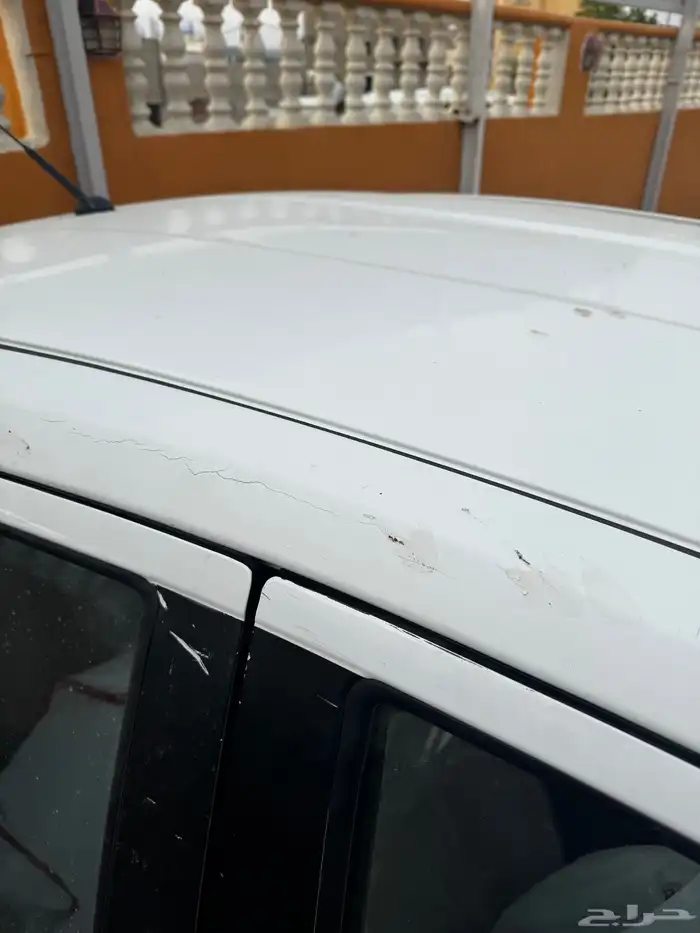 للبيع نسيان صني 2016 6