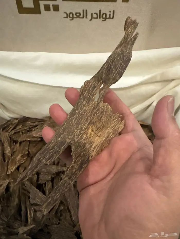 عود كاليمنتان بونتيانك طبيعي 100   100 1