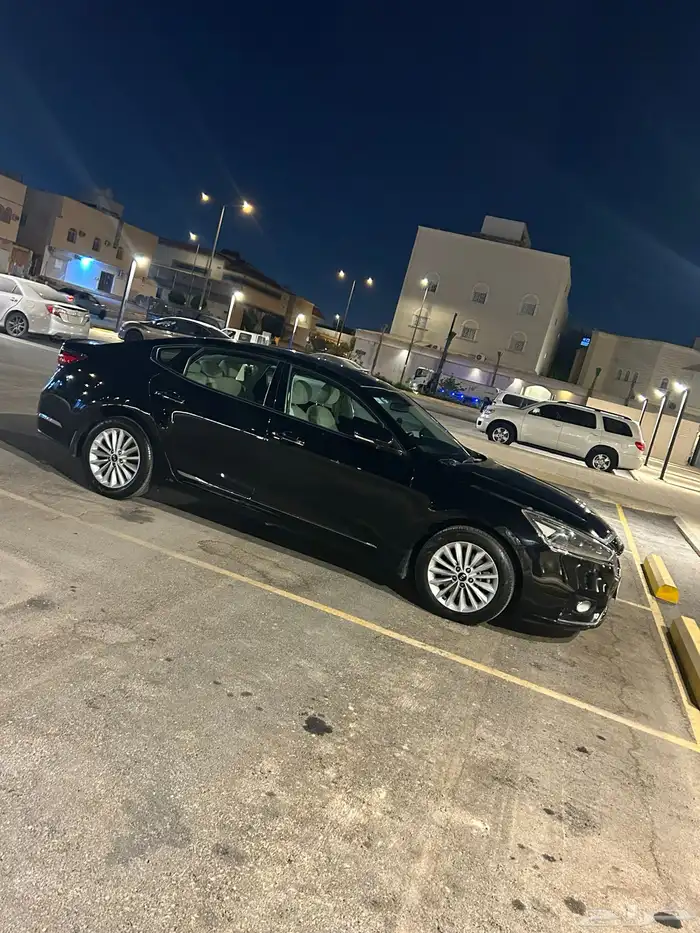 كادينزا اسود 1