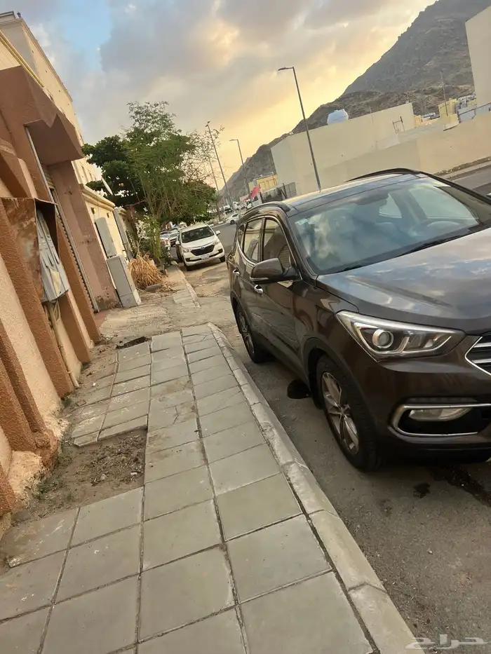 سنتافي 2016 10