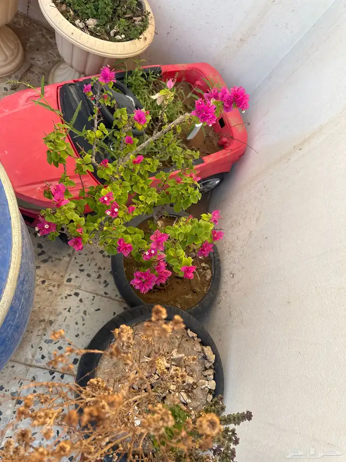 اغراض متنوعه للبيع سمح 2