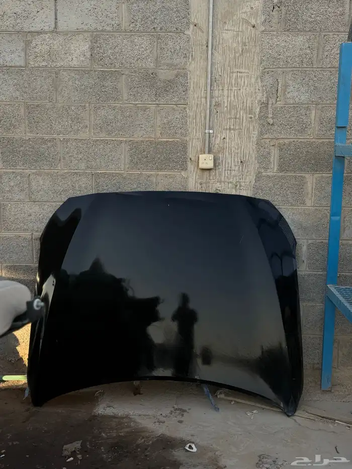 كبوت جنسس 2015 الى 2019 0