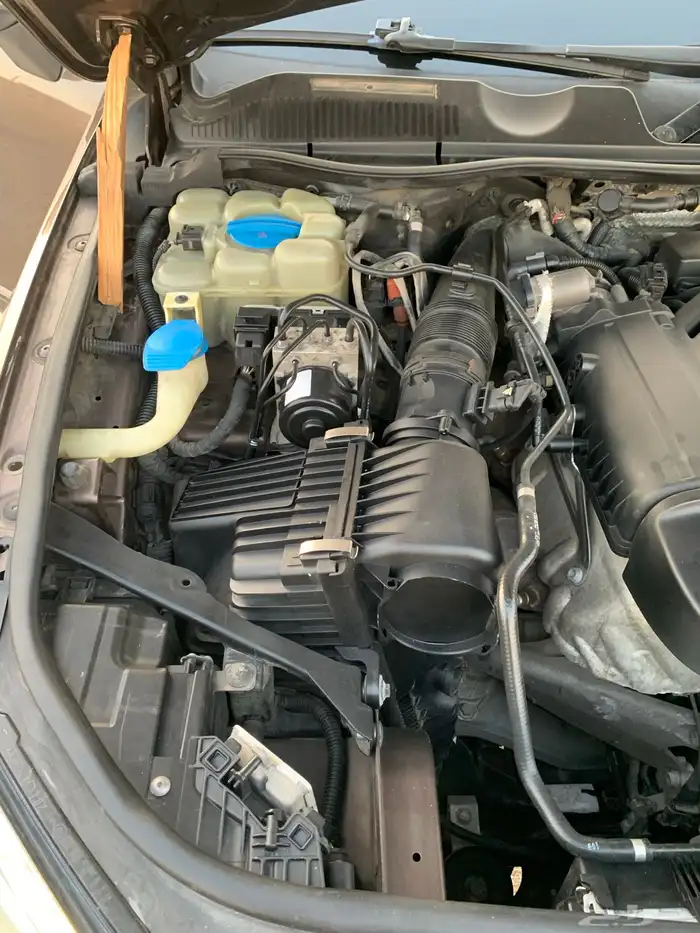 طوارق فل كامل دبل بنورما 21