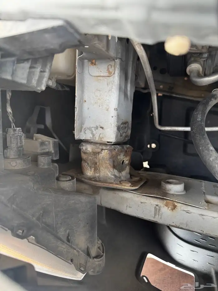 للبيع نسيان صني 2016 14