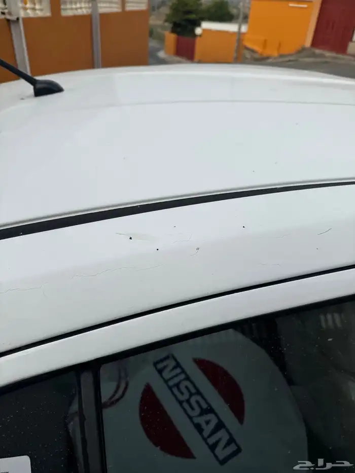 للبيع نسيان صني 2016 5