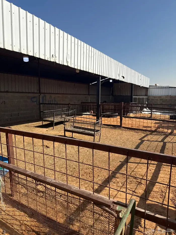 حظائر للإيجار 3