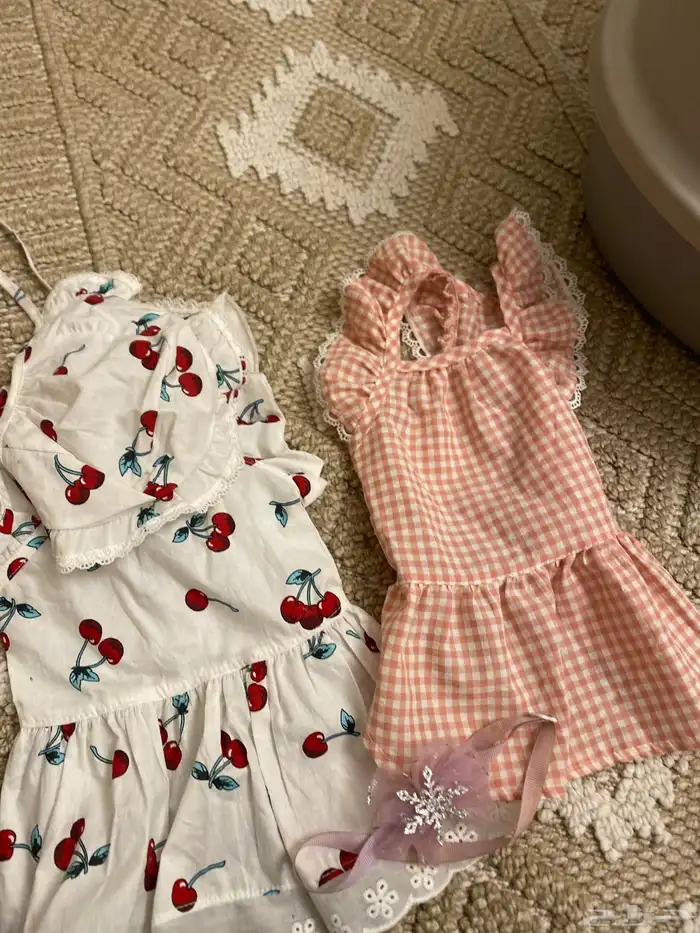 اغراض قطط للبيع 3