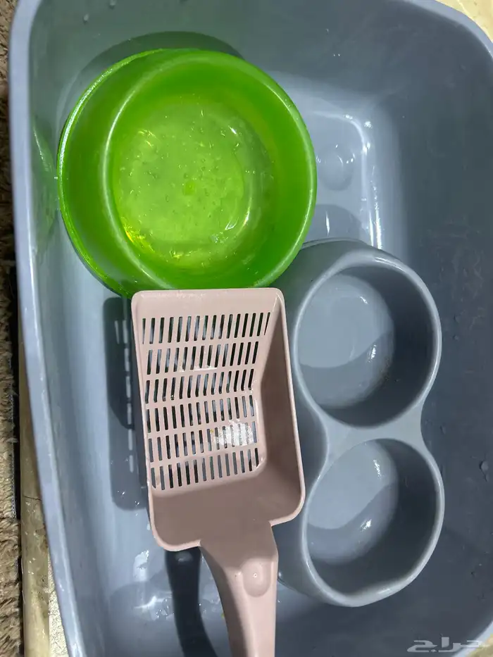 اغراض قطو كامله 0