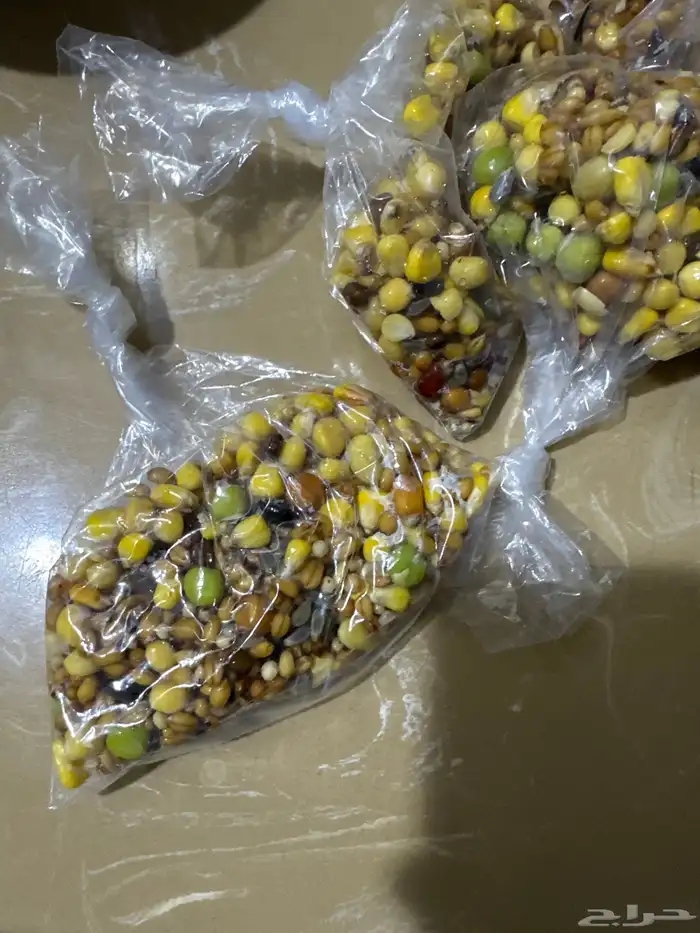 منقوع للطيور 0