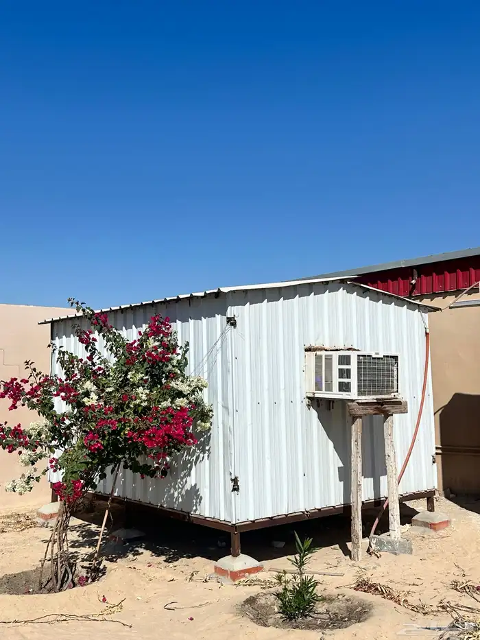 صندقه من داخل خشب 1