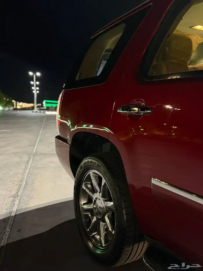 دينالي مخزن 2012 9