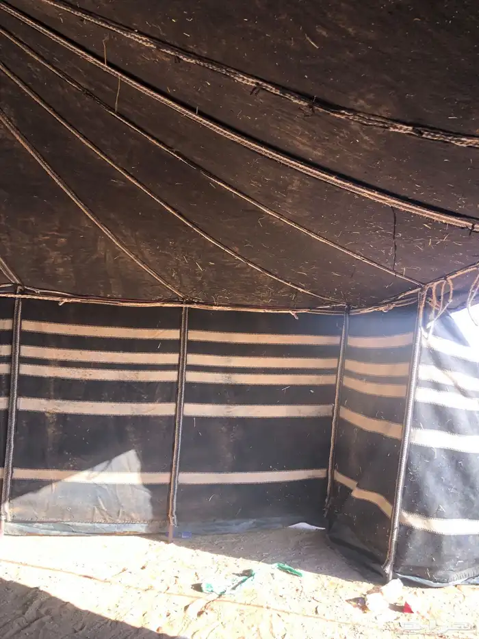 بيت شعر 5 11 تقريب ا 5