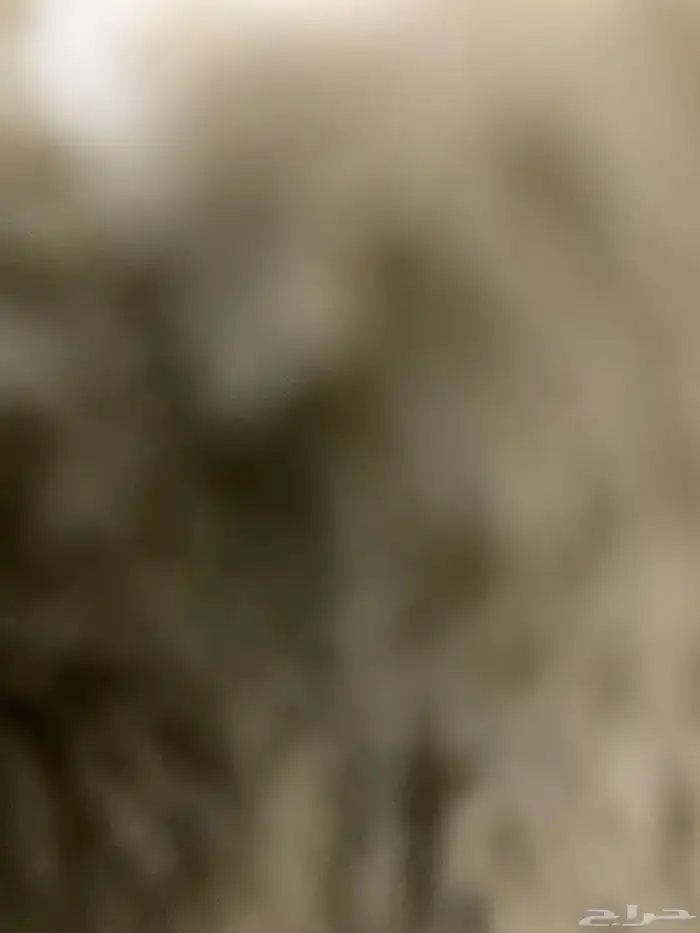 مطلوب ددسن 0