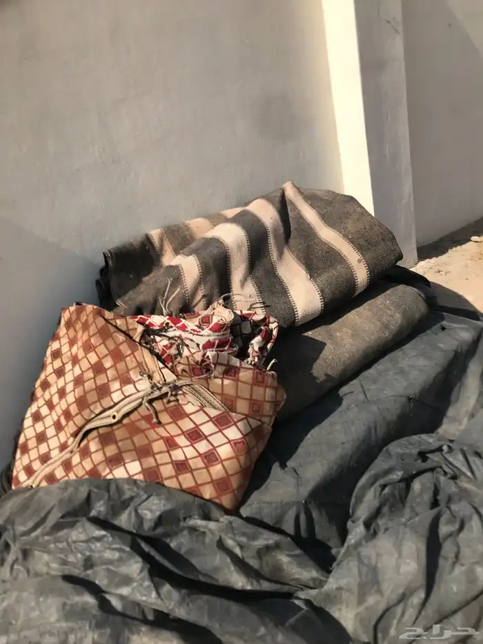 بيت شعر البيع 4 6. عل موسير حديد 2