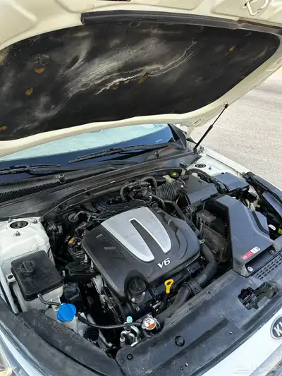 كادينزا 2017 index