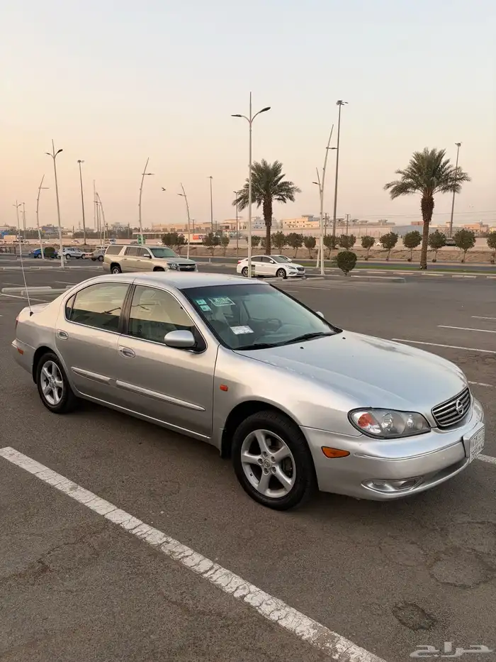 مكسيما 2008 10