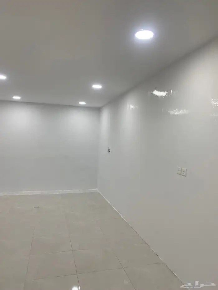 صباغ الاحساء 8