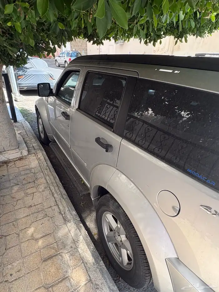 جيب دودوج 2011 6